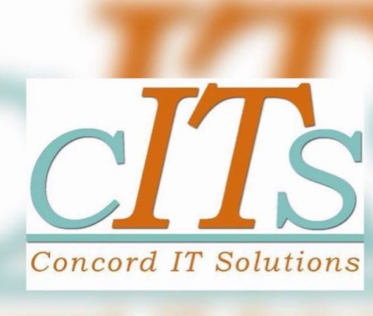Concord IT Solutions